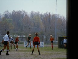 0DIA 1984 RAVA PUPS 1